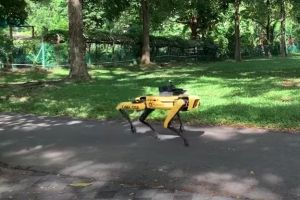 A Singapore un robot a quattro zampe nei parchi per ricordare il distanziamento sociale item-thumbnail