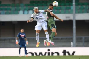 maksimovic
