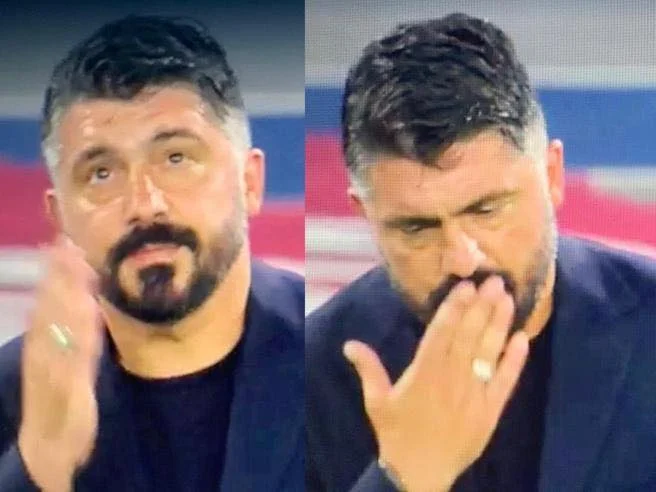 scanzi