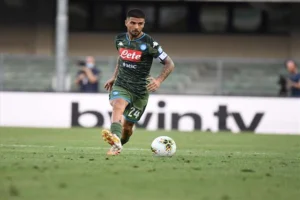 Insigne