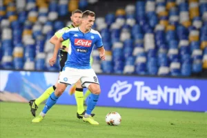 l'agente di milik