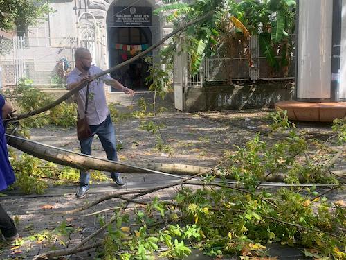 Circa 12 minuti di temporale, a Napoli crollano alberi come stelle cadenti. Crolla un solaio alla Pignasecca