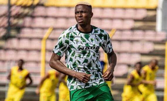 Osimhen festeggia la qualificazione della Nigeria (VIDEO) Osimhen festeggia la qualificazione della Nigeria (VIDEO)