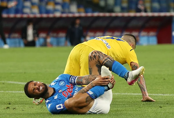 Insigne