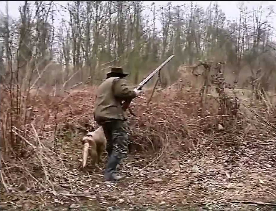 Silenziatori Per Arco Da Caccia - 2 Paia Per Arco Lungo E Ricurvo