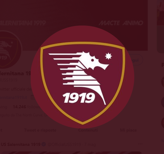 Salernitana, un fondo lussemburghese presenta un’offerta per l’acquisto