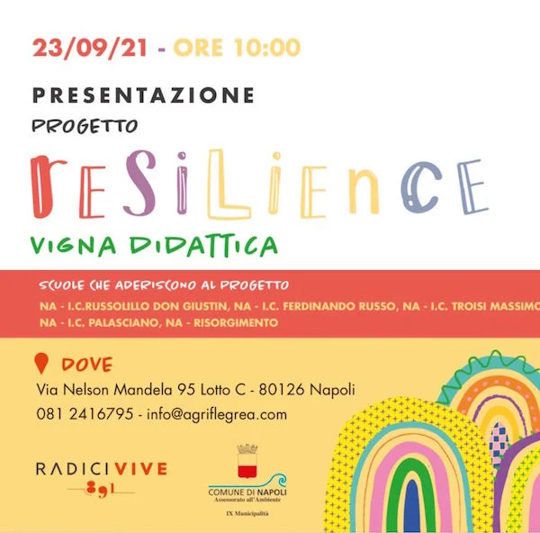 resilience