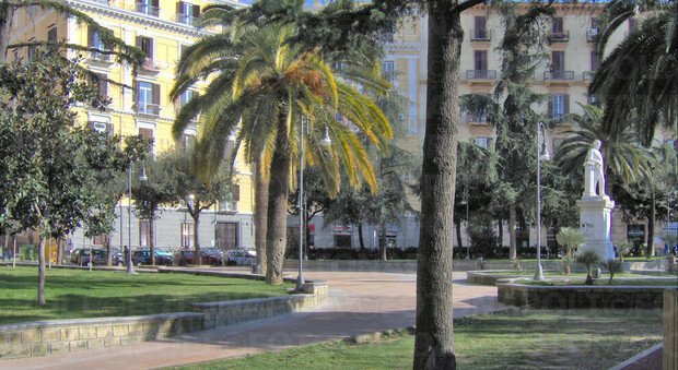 Domenica è la Giornata Nazionale degli Alberi: a Napoli una mattinata nel verde con il Premio GreenCare Domenica è la Giornata Nazionale degli Alberi: a Napoli una mattinata nel verde con il Premio GreenCare