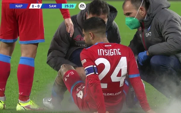 Insigne