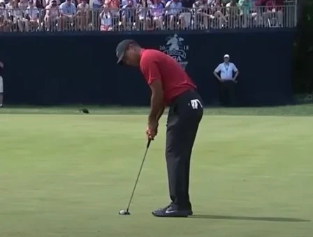 tiger woods
