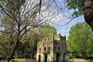 Nasce GreeNApp, l’app che porta i cittadini alla scoperta del tesoro verde di Napoli item-thumbnail