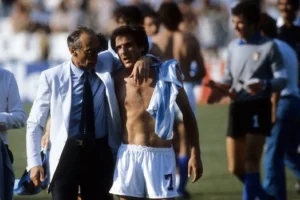 Scirea