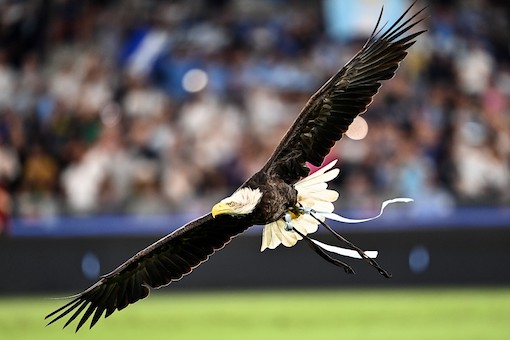 La Lazio contro la Rai: «Attacchi gratuiti. Belve o pavoni, avanti il prossimo» La Lazio contro la Rai: «Attacchi gratuiti. Belve o pavoni, avanti il prossimo»