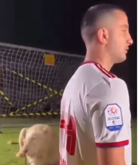 manolas