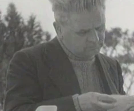 vittorio pozzo