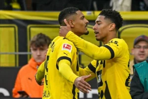 haller gol