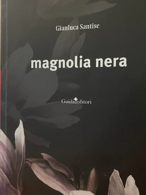 Magnolia nera