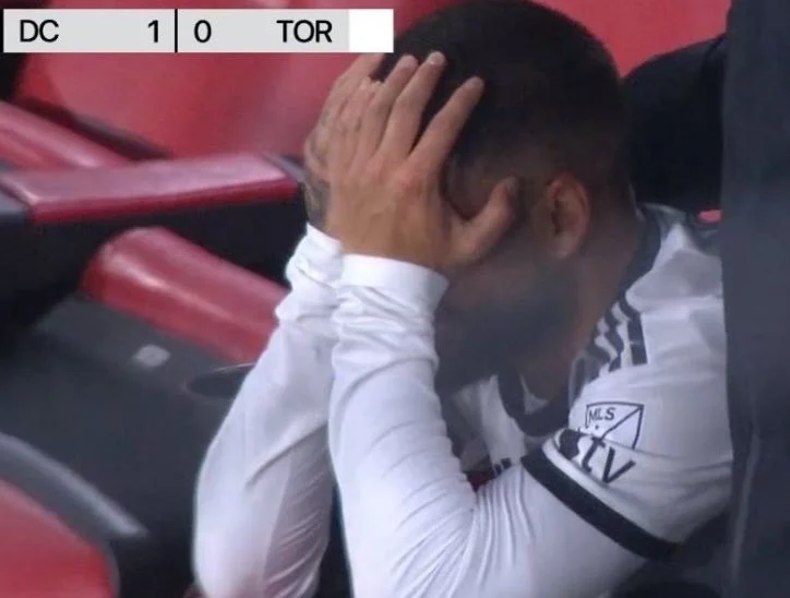 insigne