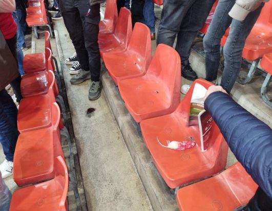 Belgio, i tifosi dello Charleroi lanciano topi morti contro i rivali dello Standard Liegi