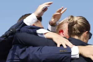 Trump Violi