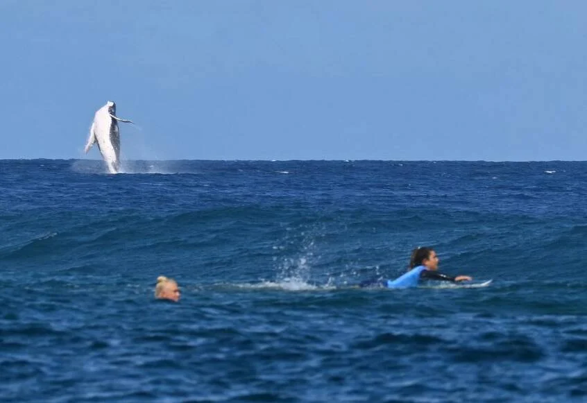 Surf Olimpiadi Brouillet