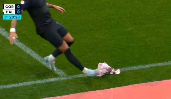 testa di maiale Palmeiras