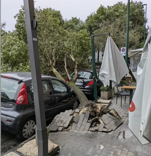 Napoli