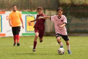 Trofeo D’Alterio