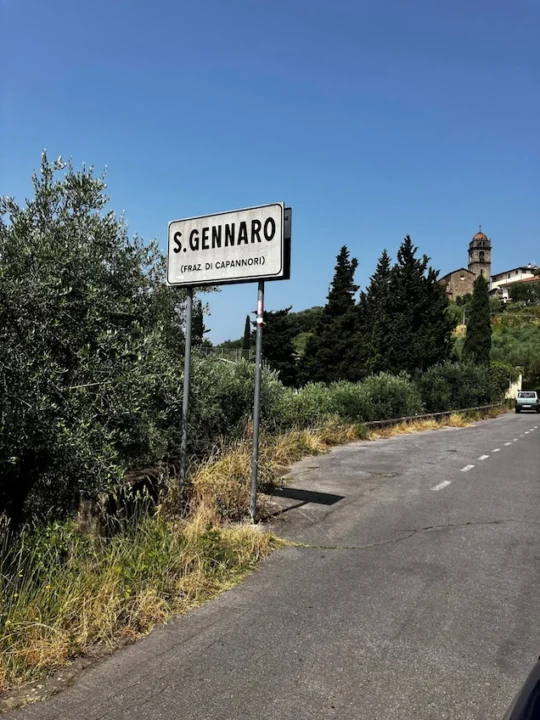 San Gennaro