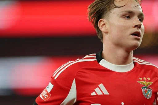 schjelderup benfica condannato a 14 giorni di carcere per aver condiviso materiale pedopornografico su snapchat