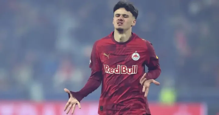 Alajbegović