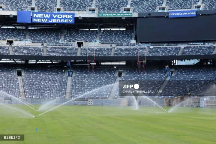 MetLife stadium