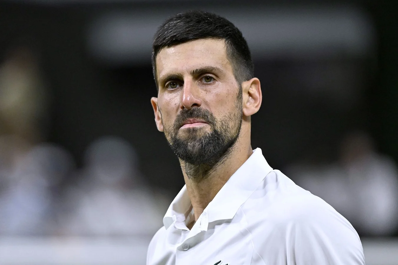 djokovic il tennis 232 brutale mi rivedo in sinner non c8217232 vittoria che possa placare la nostra fame da Ilnapolista.it djokovic il tennis 232 brutale mi rivedo in sinner non c8217232 vittoria che possa placare la nostra fame