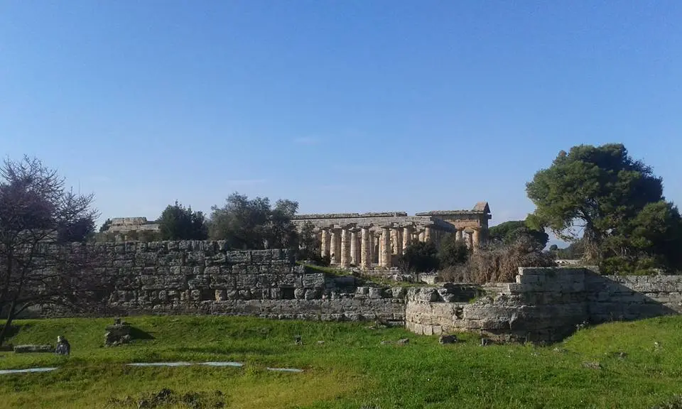 Zuchtriegel (Paestum): “Un museo deve fare ricerca, non può vivere solo di marketing” Zuchtriegel (Paestum): “Un museo deve fare ricerca, non può vivere solo di marketing”
