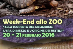Agenda Napolista/ Alla scoperta dei rettili allo Zoo. Appuntamento in villa Comunale per la Fiera antiquaria item-thumbnail